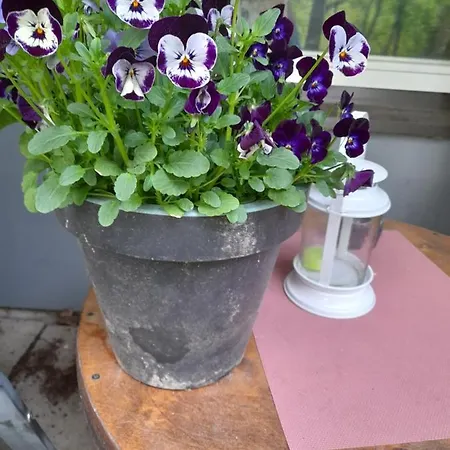 Apartament Retroyksioe