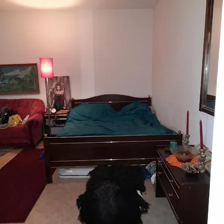 Apartament Retroyksioe *