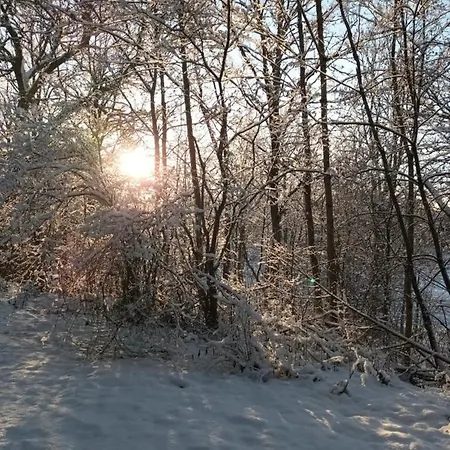 Retroyksioe Bjorkboda