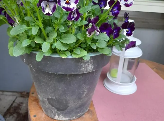 Apartment Retroyksioe