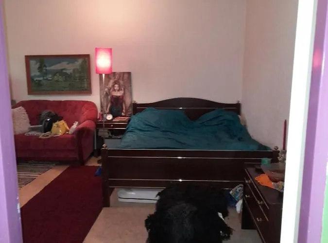 公寓 Retroyksioe Bjorkboda