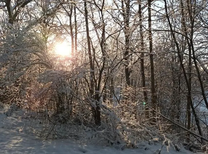 Retroyksioe Bjorkboda